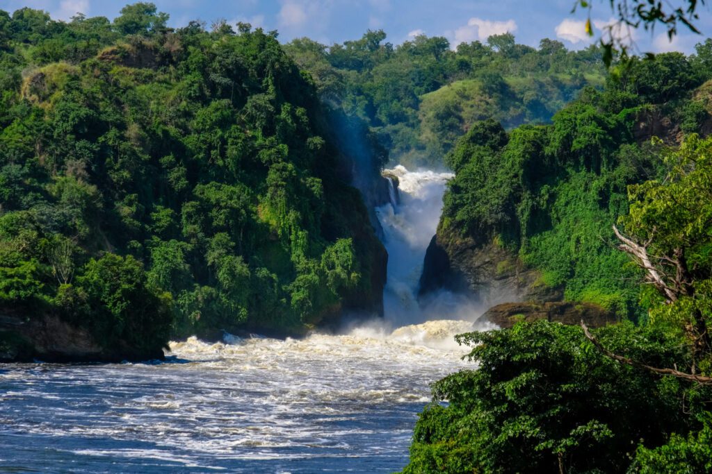 Murchison Falls National Park image at Aquarius Kigo Resort